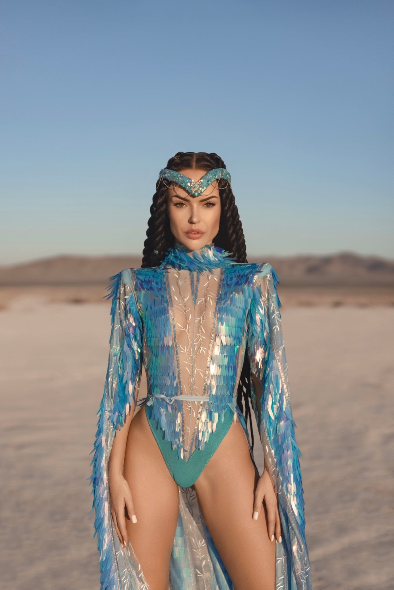 The Desert Phoenix