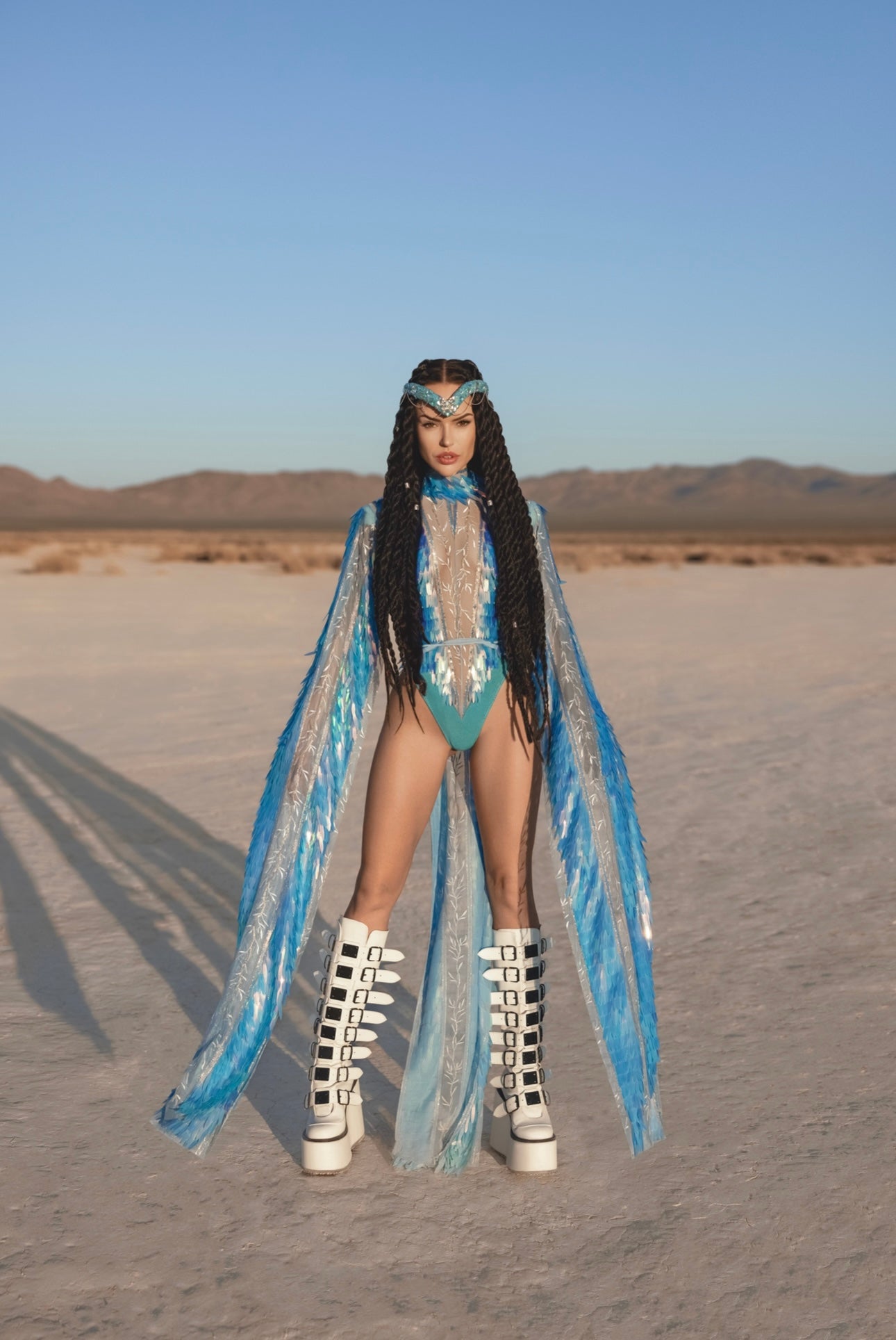 The Desert Phoenix