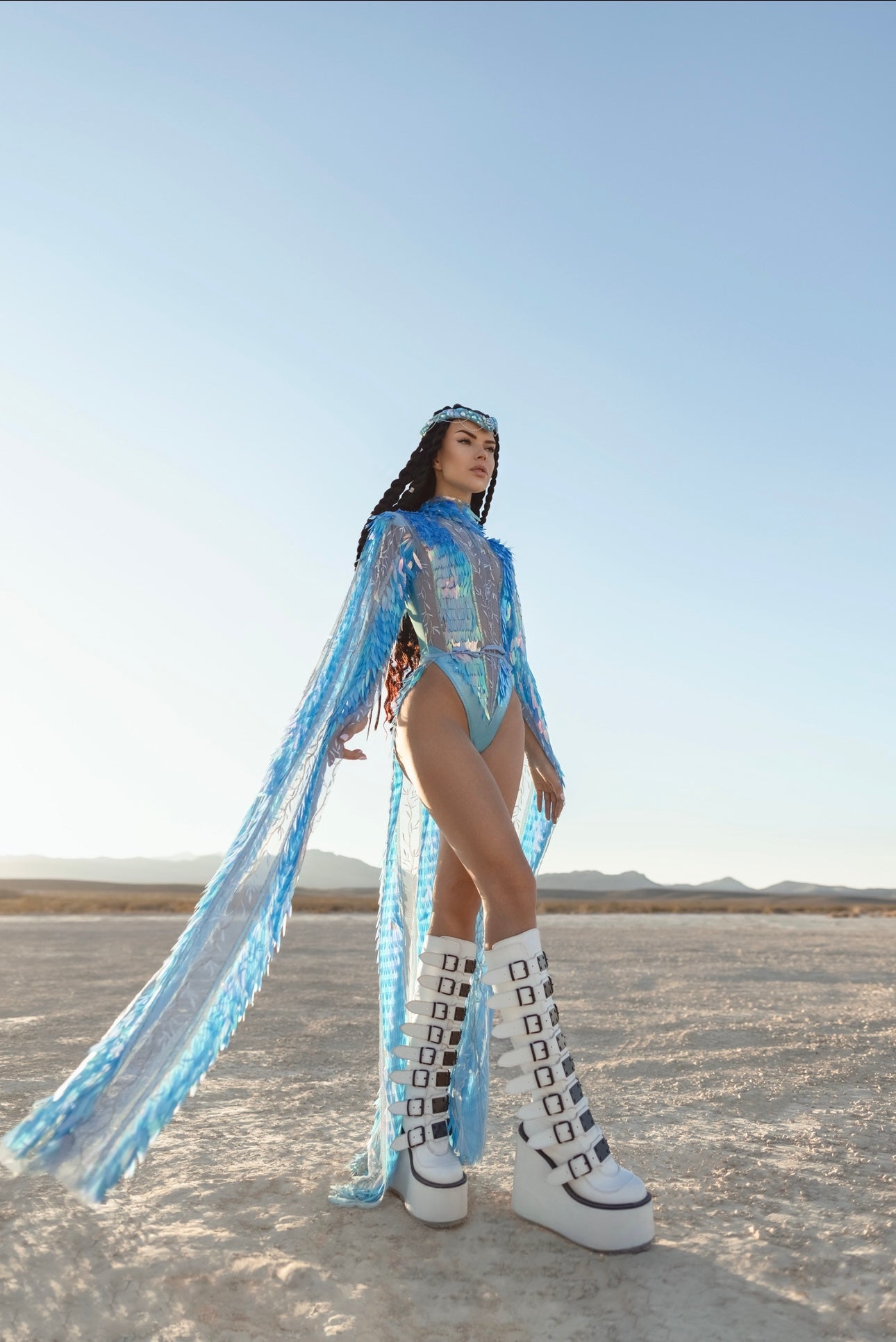 The Desert Phoenix