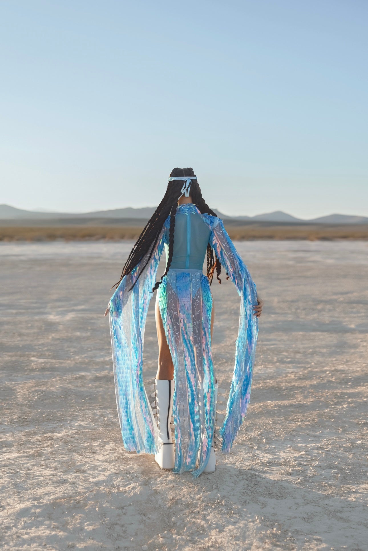 The Desert Phoenix