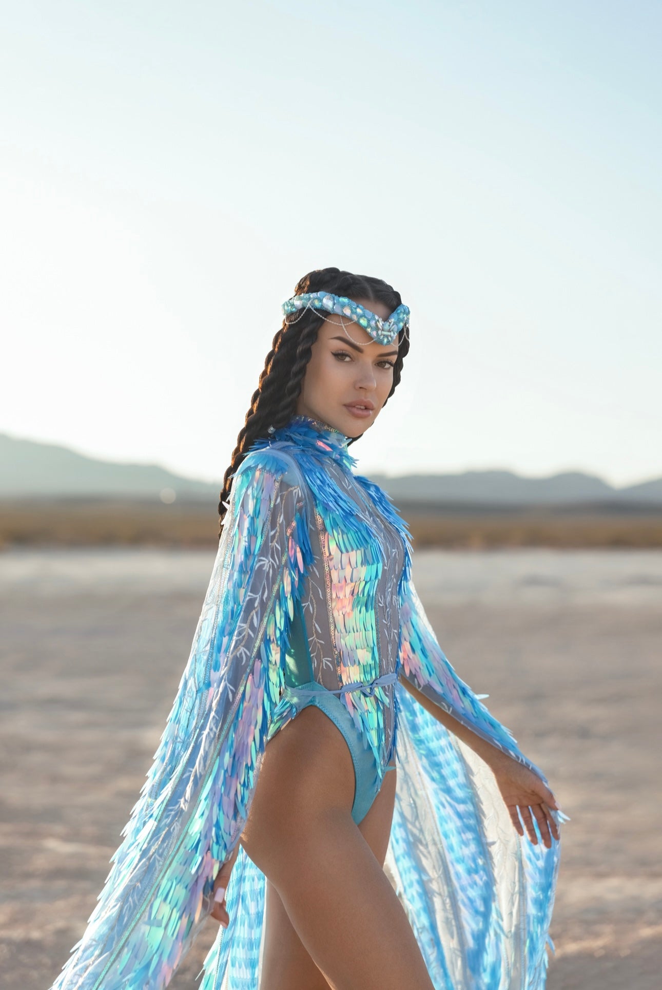 The Desert Phoenix
