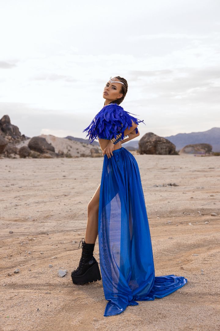 Blue Feathers Costume