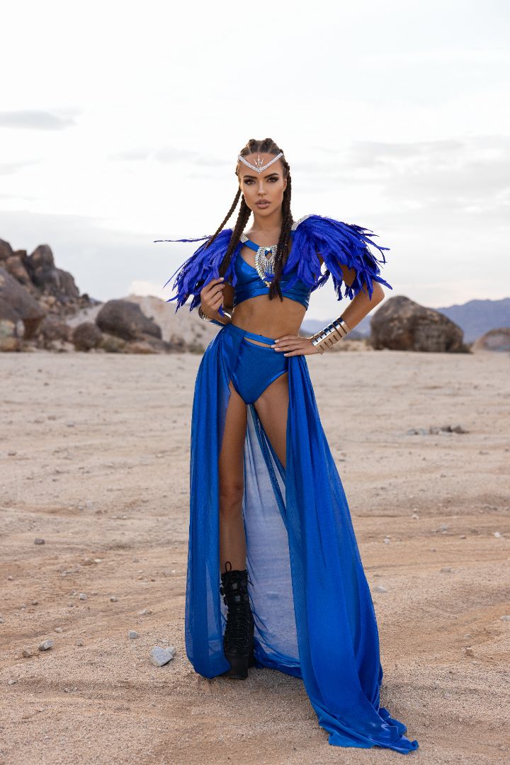 Blue Feathers Costume